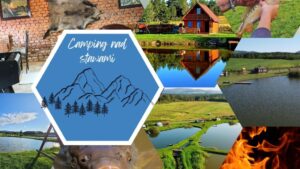 Camping nad stawami Błotnica 