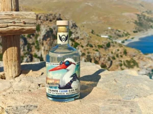 Od papryki i imbiru do alkoholu 0% – jak rolnictwo i przetwórstwo wchodzą w nową branżę bezalkoholowych trunków